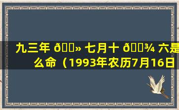 九三年 🌻 七月十 🌾 六是什么命（1993年农历7月16日出生的人）